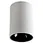 surface mounted downlight